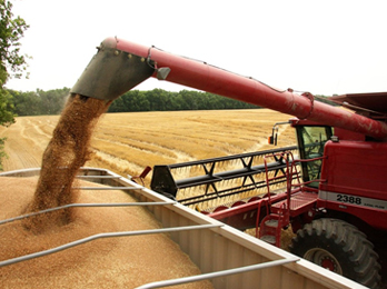 cosecha-trigo-maquinaria-campo