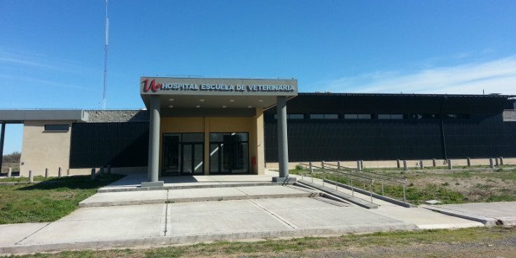 hospital-Escuela-Veterinaria-UNRN-e1473893339902