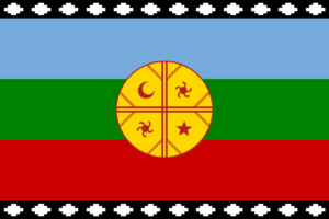 BARI bandera mapuche