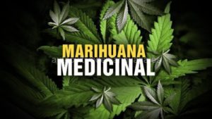 Marihuana-medicinal