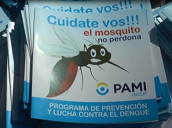 dengue pami