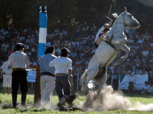 fiesta-del-puestero