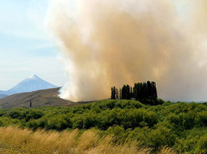 incendio-junin2